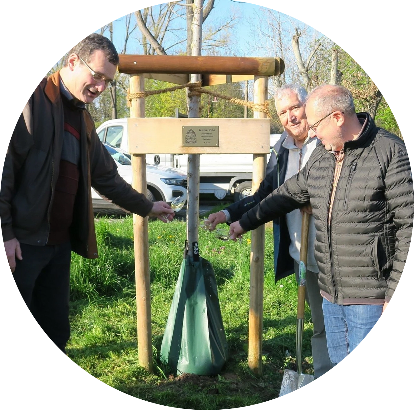 Pflanzung UlmeKreis - Jubiläum 55 Jahre Weinbruderschaft Rheinhessen